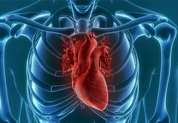 Principais Cardiopatias Congênitas
